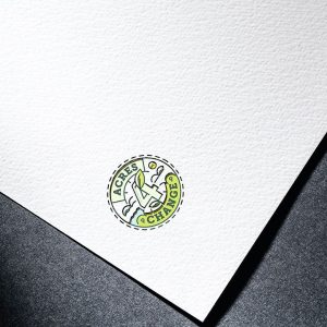 Custom Logo Design